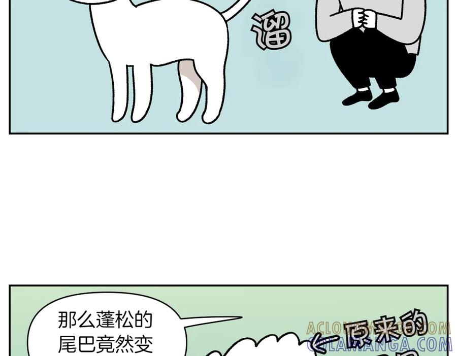 《我的狗子叫棉花》第55话 鼠鼠棉花 第7页