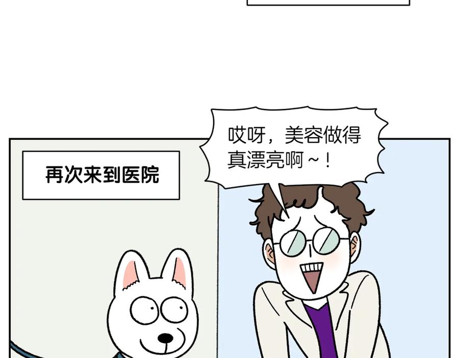 《我的狗子叫棉花》第55话 鼠鼠棉花 第21页