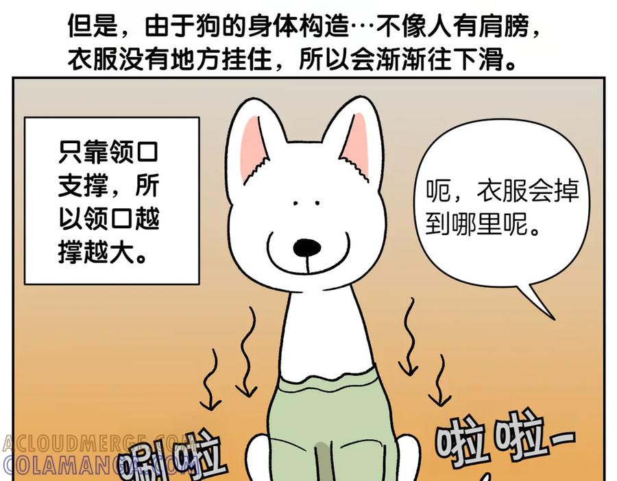 《我的狗子叫棉花》第55话 鼠鼠棉花 第37页