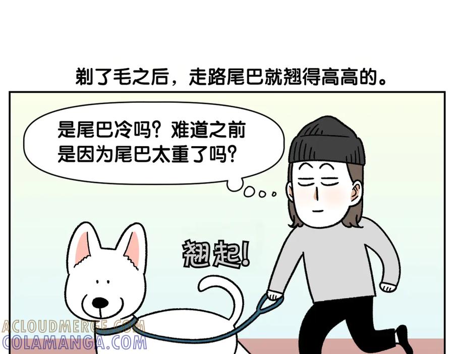 《我的狗子叫棉花》第55话 鼠鼠棉花 第16页