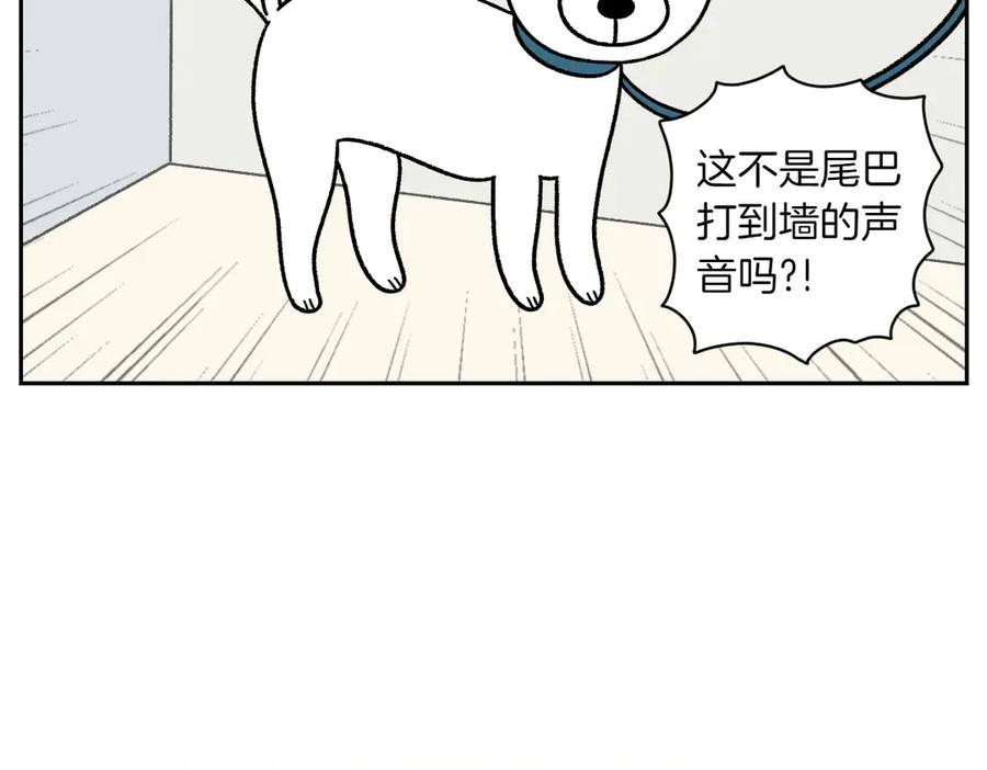 《我的狗子叫棉花》第55话 鼠鼠棉花 第12页
