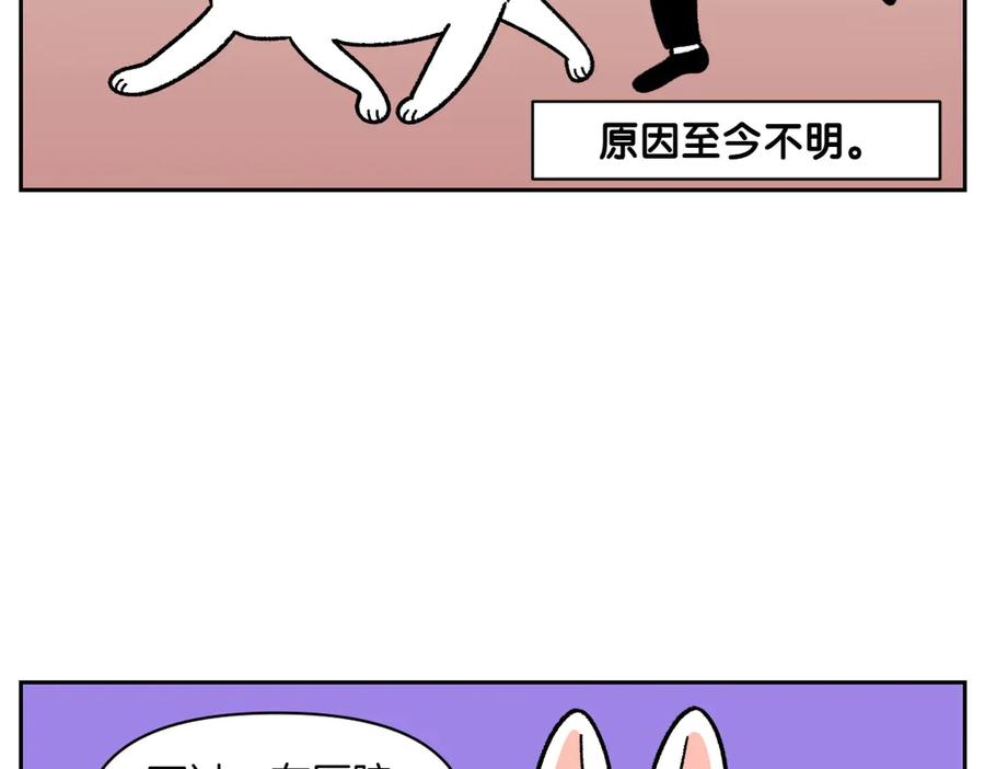 《我的狗子叫棉花》第55话 鼠鼠棉花 第17页