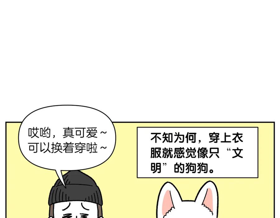 《我的狗子叫棉花》第55话 鼠鼠棉花 第35页