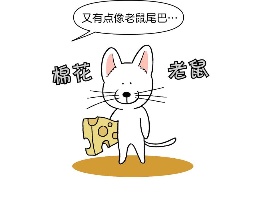 《我的狗子叫棉花》第55话 鼠鼠棉花 第9页