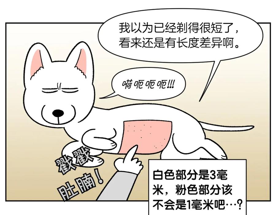 《我的狗子叫棉花》第55话 鼠鼠棉花 第20页