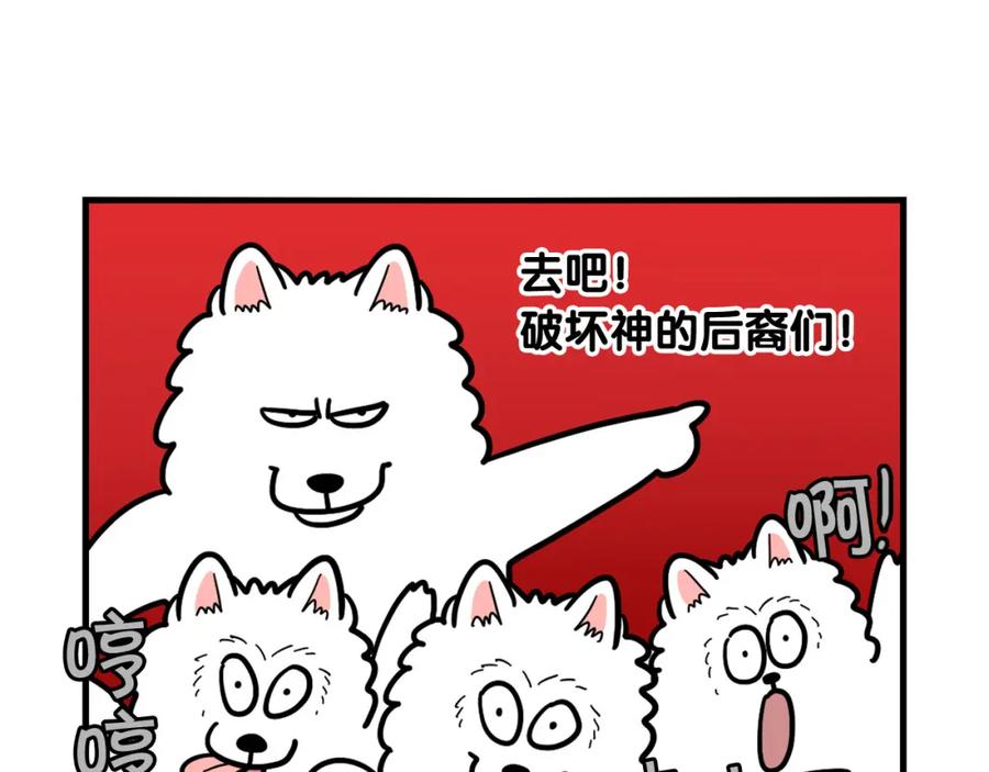 《我的狗子叫棉花》第42话 绝育难题 第11页
