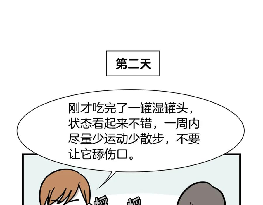 《我的狗子叫棉花》第42话 绝育难题 第65页