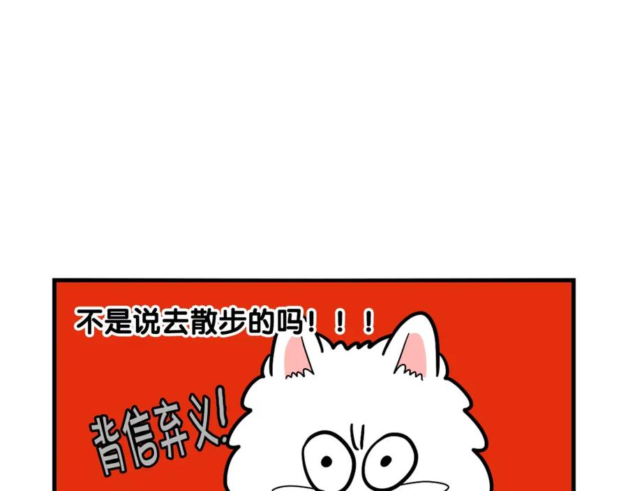 《我的狗子叫棉花》第42话 绝育难题 第20页