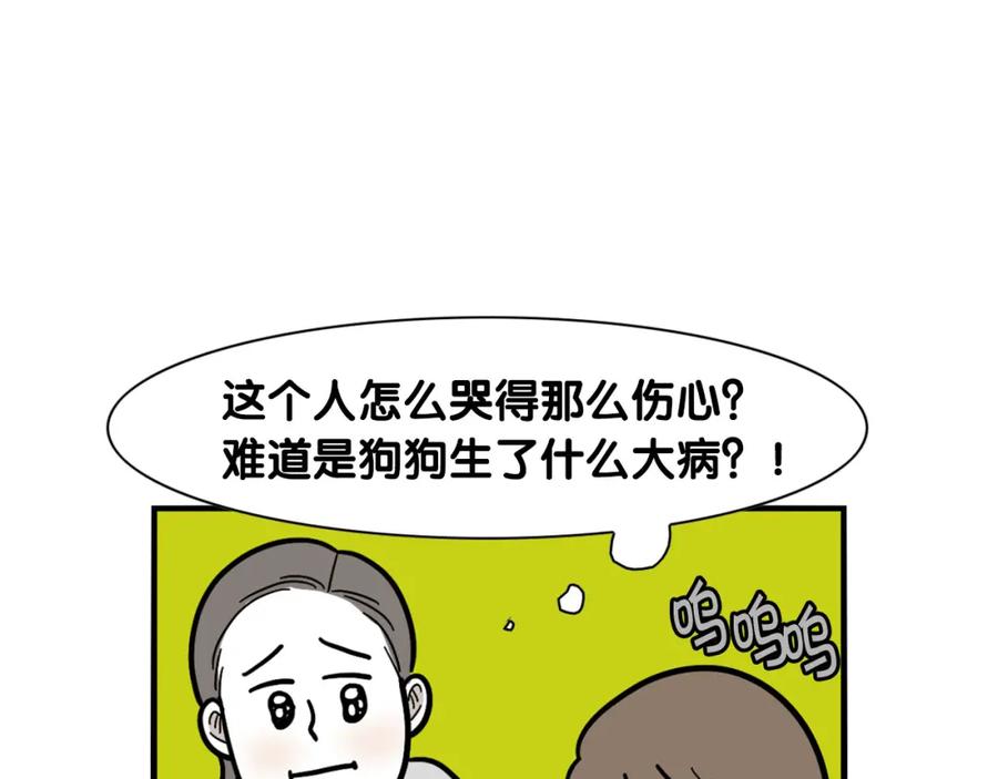 《我的狗子叫棉花》第42话 绝育难题 第45页
