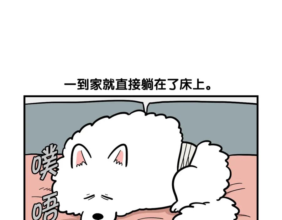 《我的狗子叫棉花》第42话 绝育难题 第69页