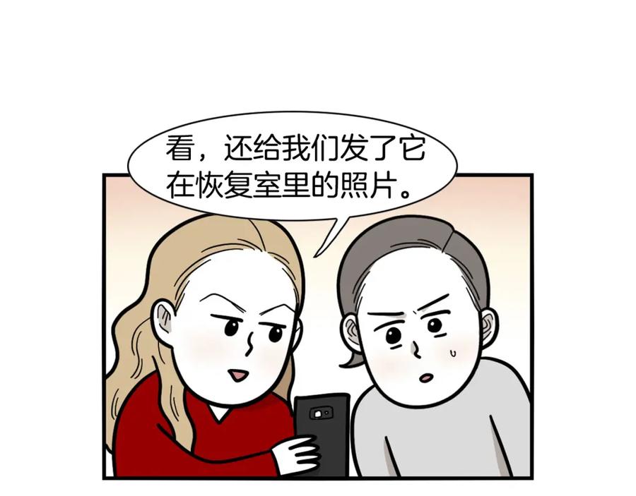 《我的狗子叫棉花》第42话 绝育难题 第59页