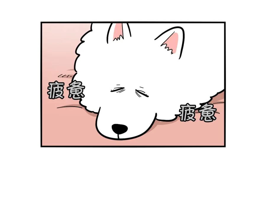 《我的狗子叫棉花》第42话 绝育难题 第72页