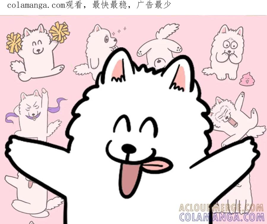 《我的狗子叫棉花》第42话 绝育难题 第1页