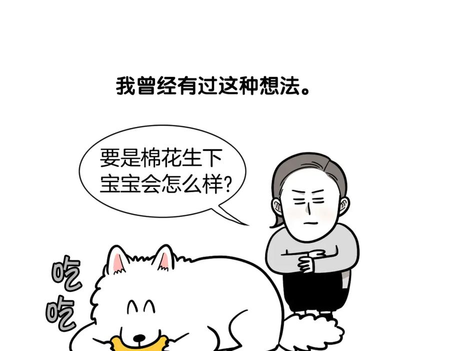 《我的狗子叫棉花》第42话 绝育难题 第5页