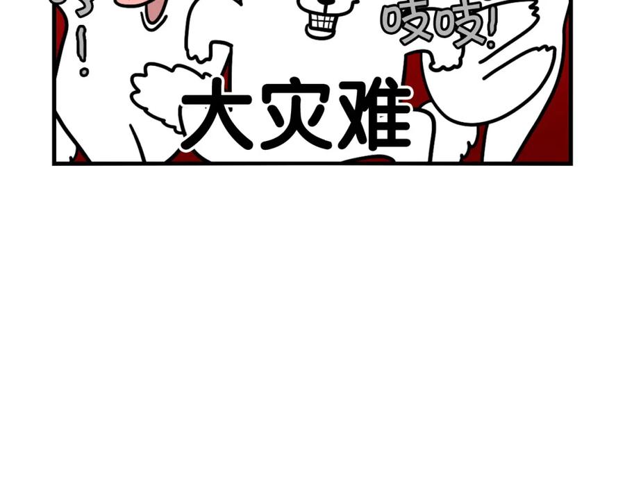 《我的狗子叫棉花》第42话 绝育难题 第12页