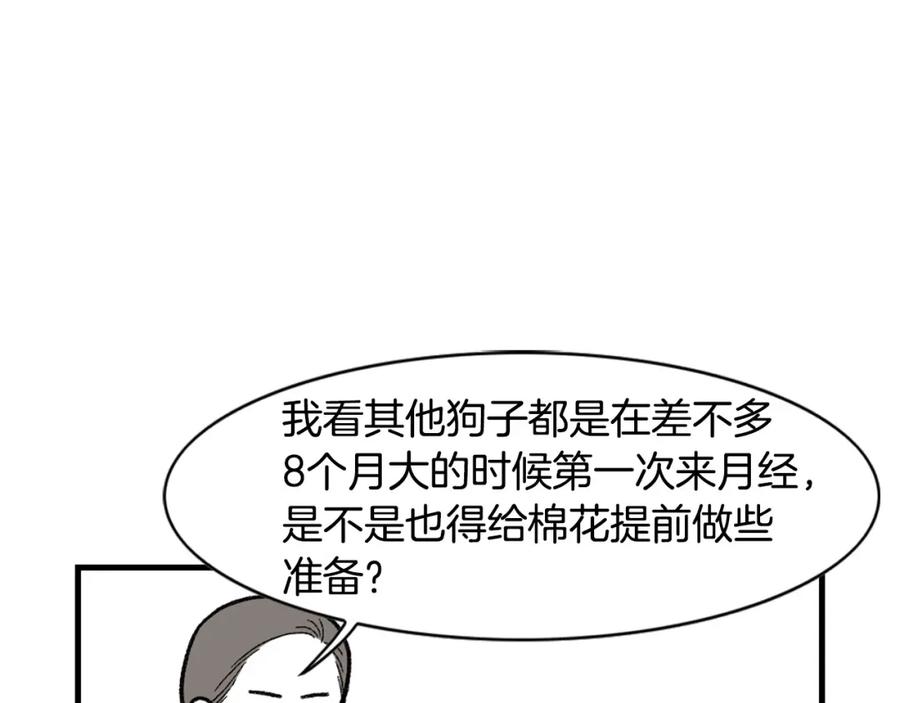 《我的狗子叫棉花》第43话 狗狗的例假 第5页