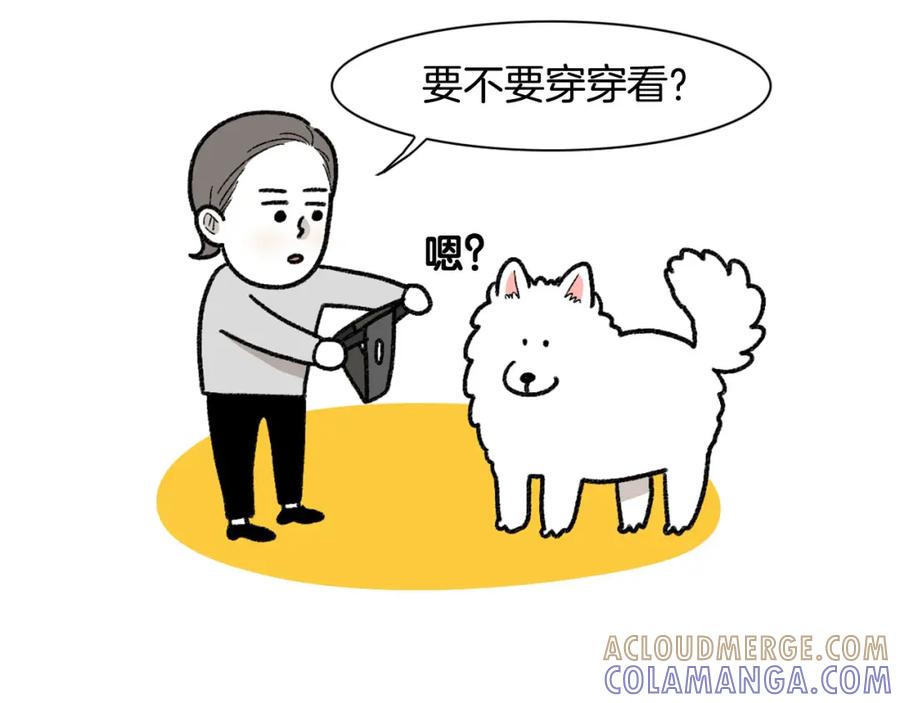 《我的狗子叫棉花》第43话 狗狗的例假 第16页