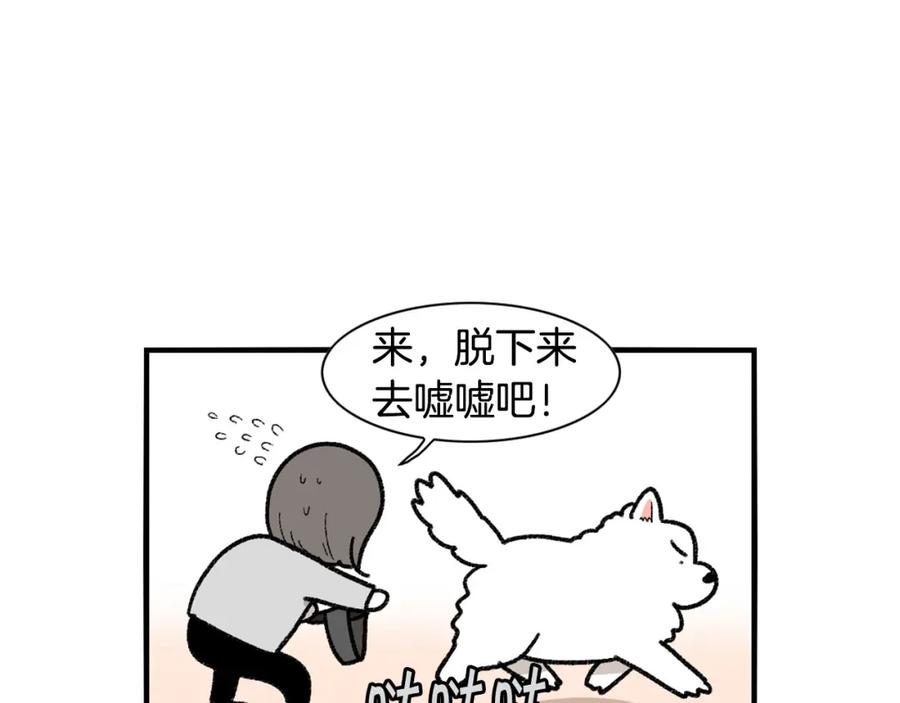 《我的狗子叫棉花》第43话 狗狗的例假 第63页