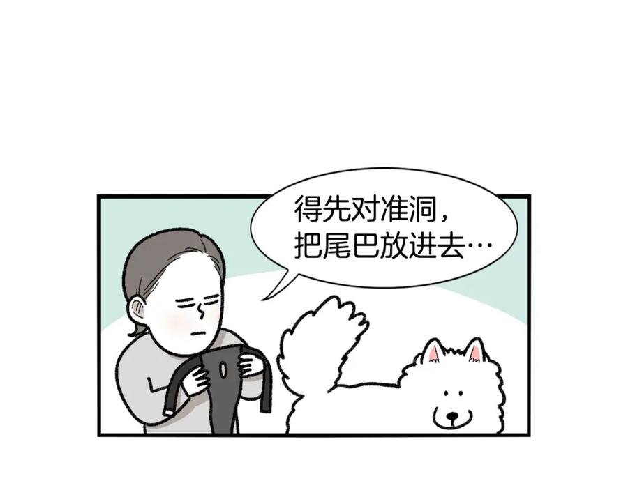 《我的狗子叫棉花》第43话 狗狗的例假 第18页