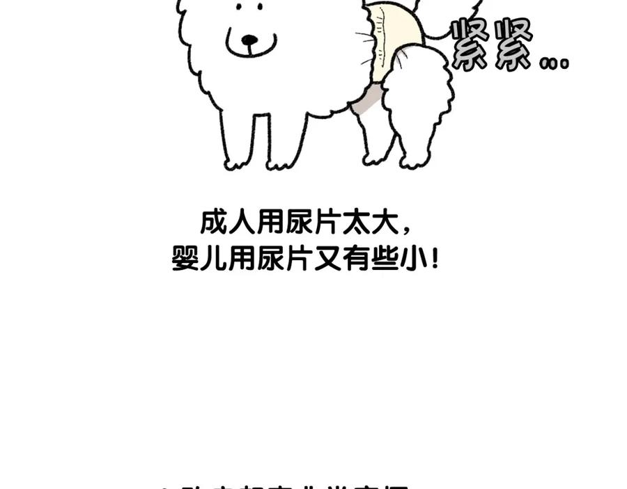 《我的狗子叫棉花》第43话 狗狗的例假 第38页
