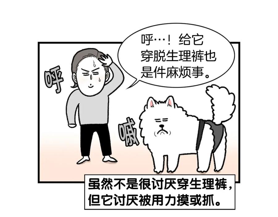 《我的狗子叫棉花》第43话 狗狗的例假 第30页