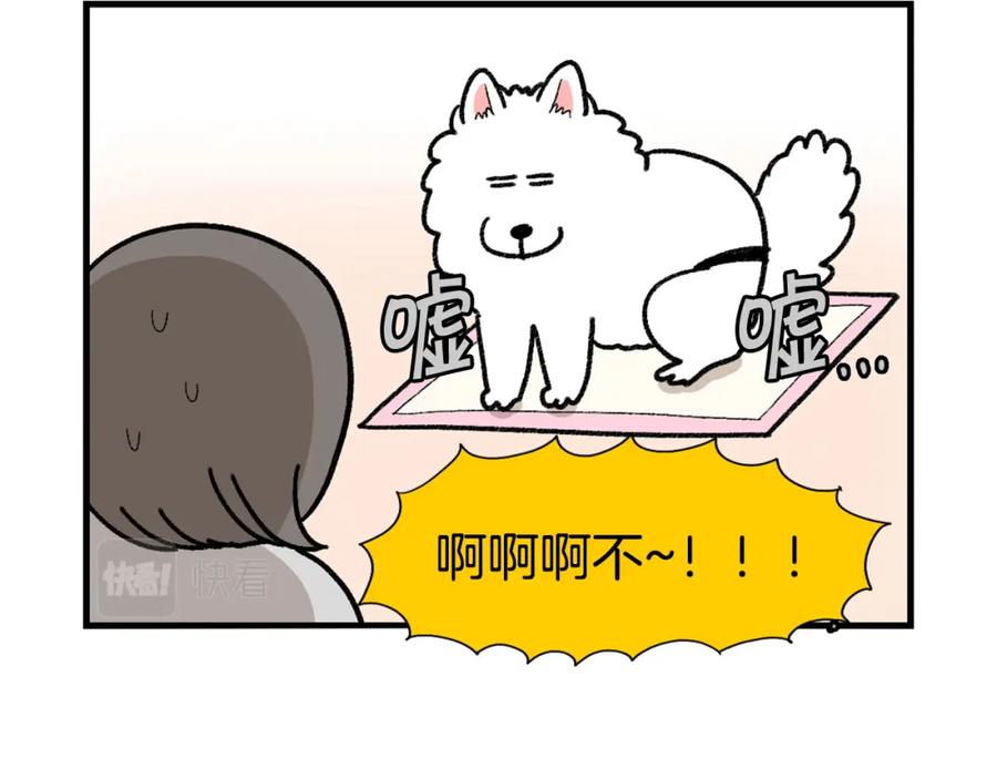 《我的狗子叫棉花》第43话 狗狗的例假 第44页