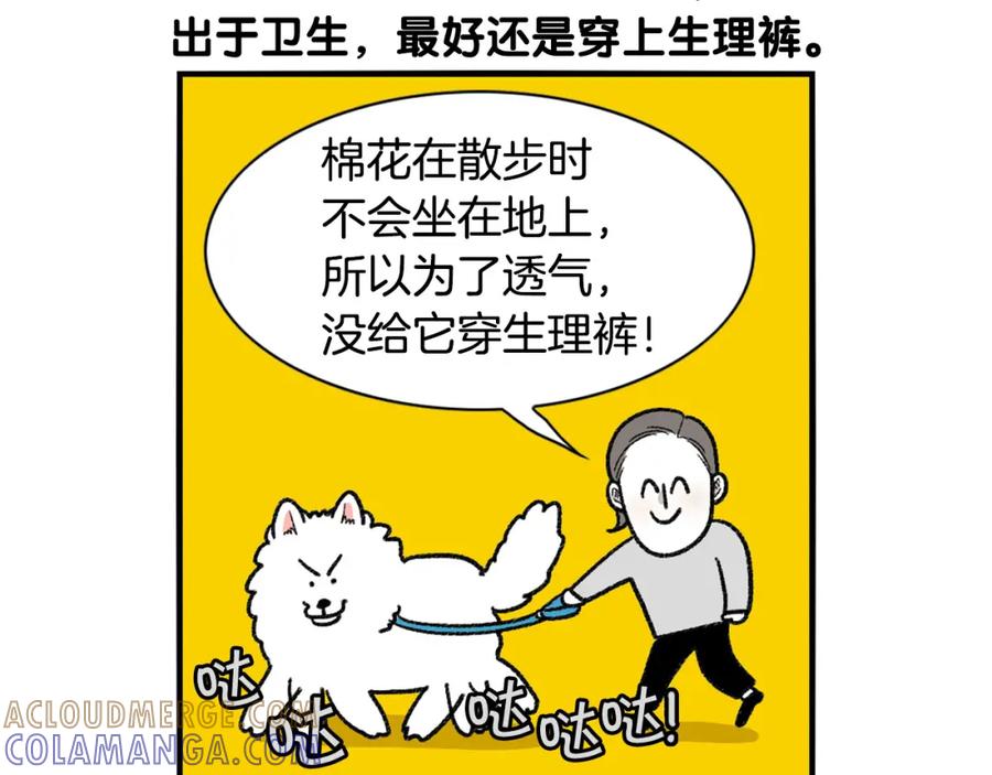 《我的狗子叫棉花》第43话 狗狗的例假 第76页