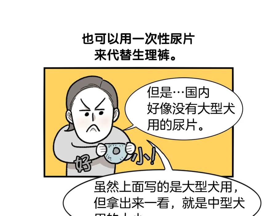 《我的狗子叫棉花》第43话 狗狗的例假 第32页