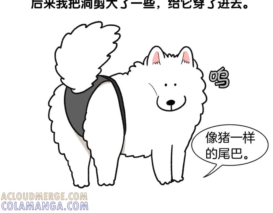 《我的狗子叫棉花》第43话 狗狗的例假 第22页