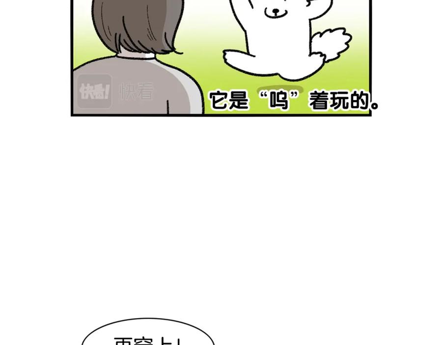 《我的狗子叫棉花》第43话 狗狗的例假 第65页