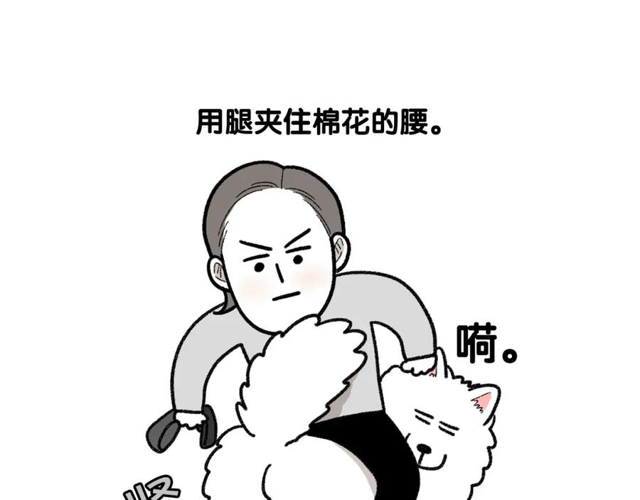 《我的狗子叫棉花》第43话 狗狗的例假 第27页