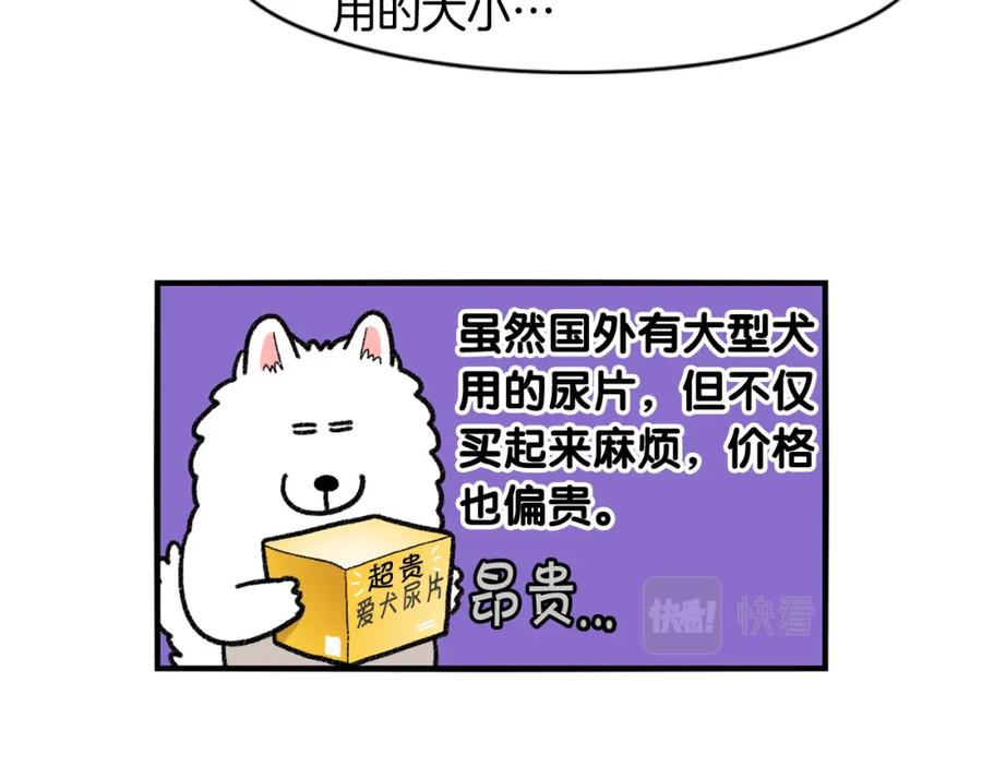 《我的狗子叫棉花》第43话 狗狗的例假 第33页