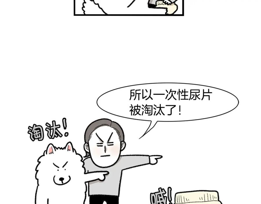 《我的狗子叫棉花》第43话 狗狗的例假 第41页
