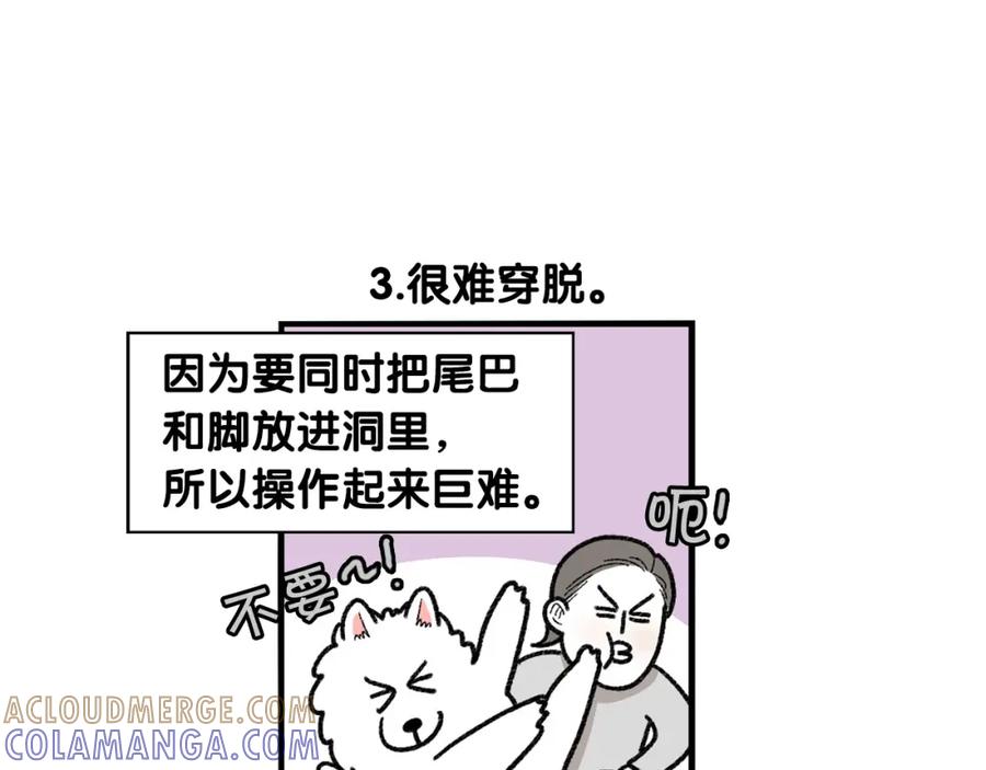 《我的狗子叫棉花》第43话 狗狗的例假 第40页