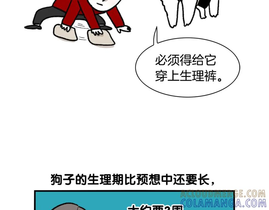 《我的狗子叫棉花》第43话 狗狗的例假 第55页