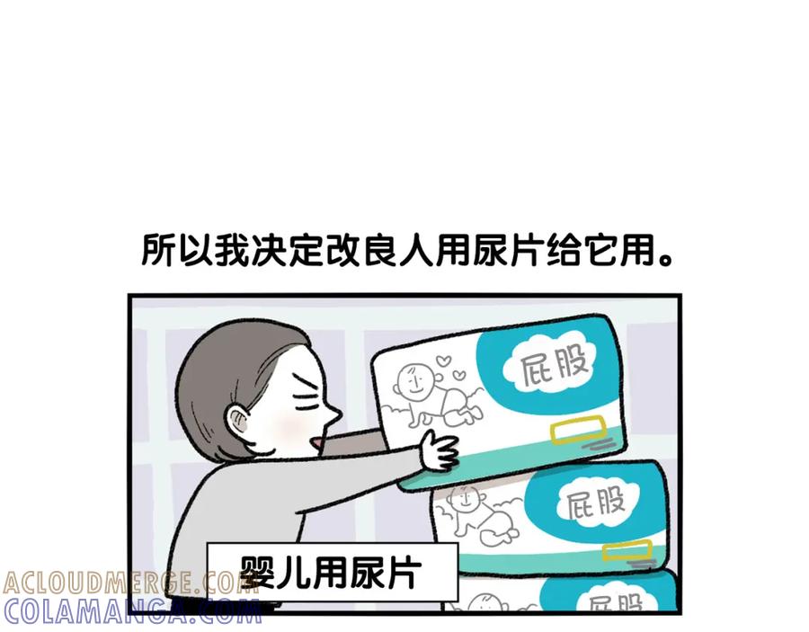 《我的狗子叫棉花》第43话 狗狗的例假 第34页