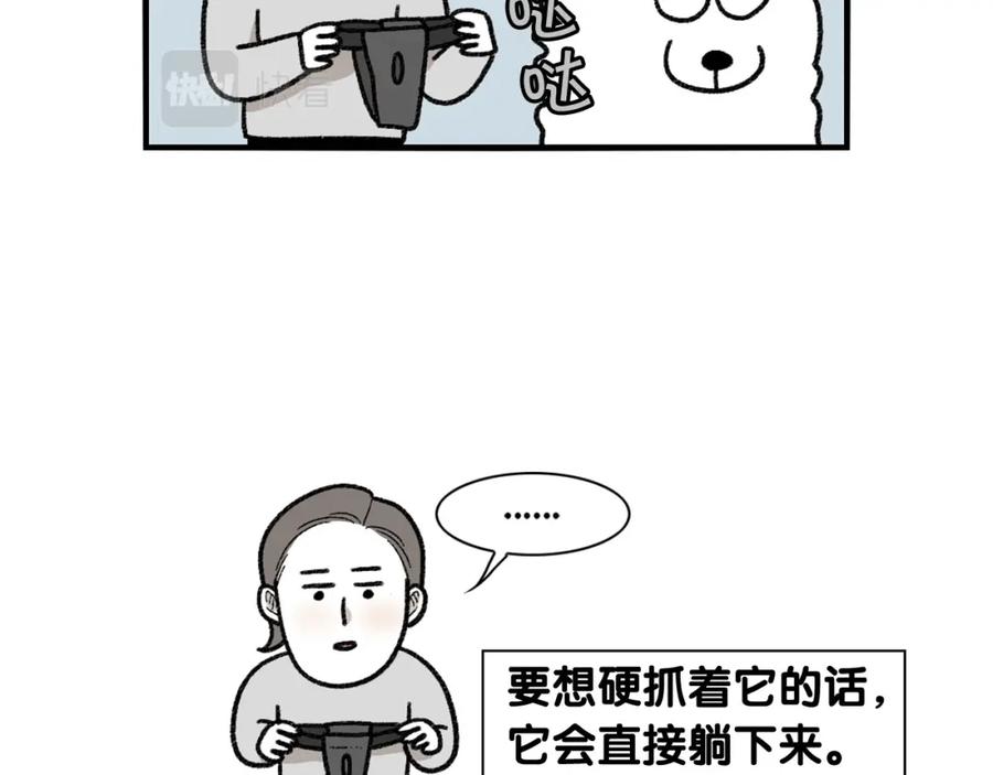 《我的狗子叫棉花》第43话 狗狗的例假 第24页