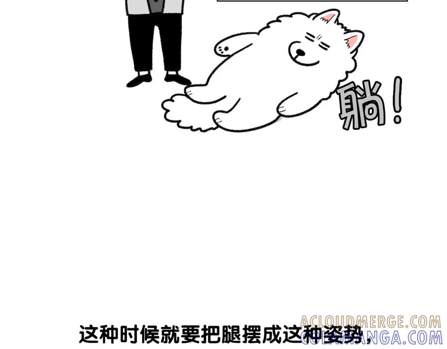 《我的狗子叫棉花》第43话 狗狗的例假 第25页