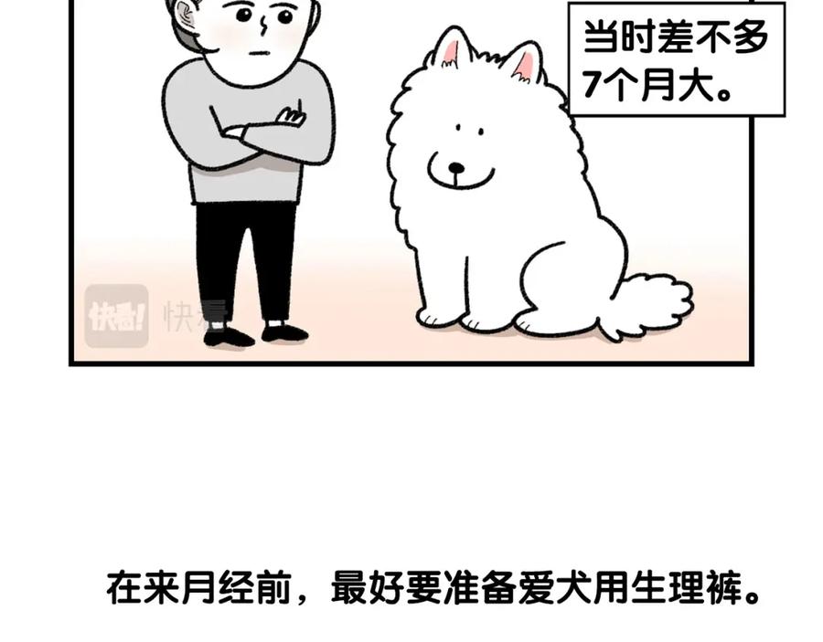 《我的狗子叫棉花》第43话 狗狗的例假 第6页