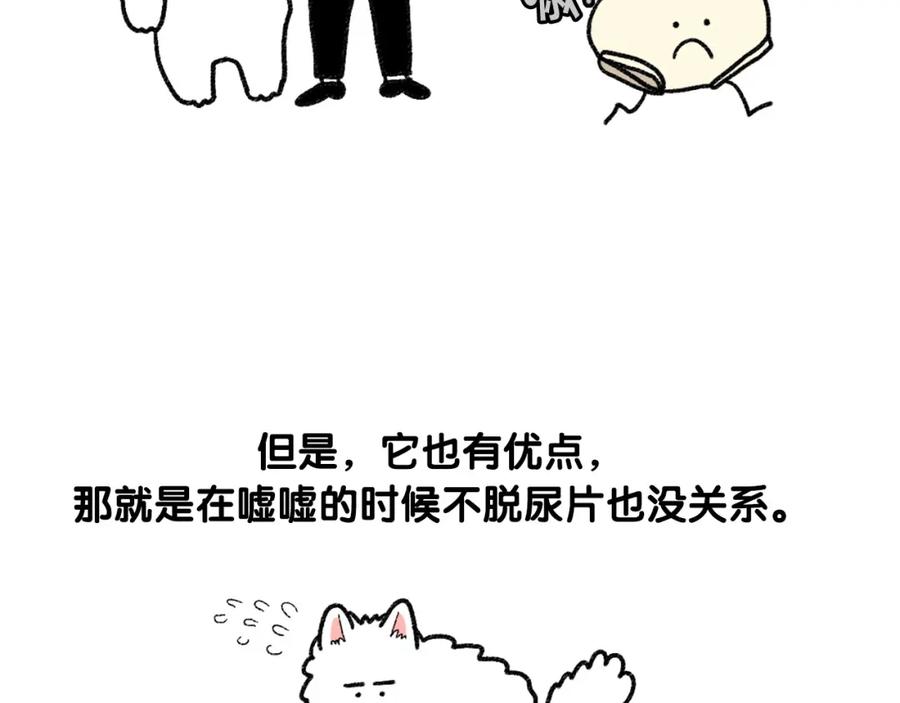 《我的狗子叫棉花》第43话 狗狗的例假 第42页