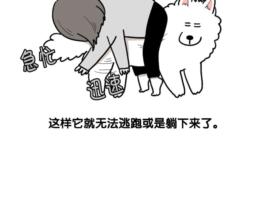 《我的狗子叫棉花》第43话 狗狗的例假 第29页