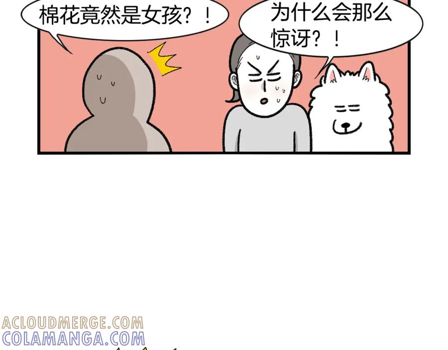 《我的狗子叫棉花》第43话 狗狗的例假 第10页