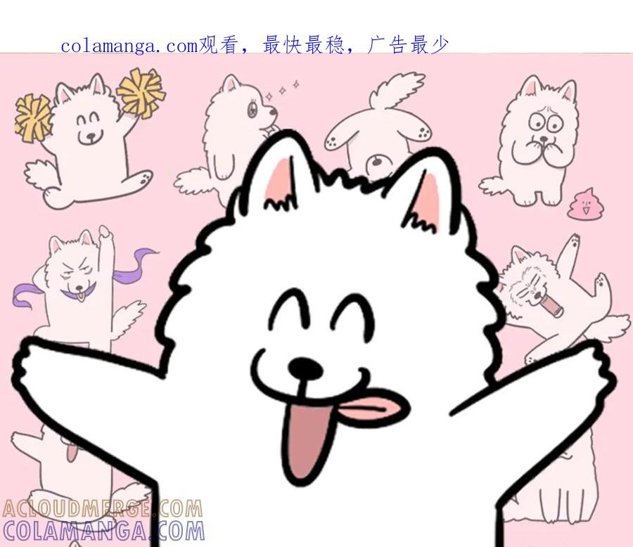 《我的狗子叫棉花》第43话 狗狗的例假 第1页