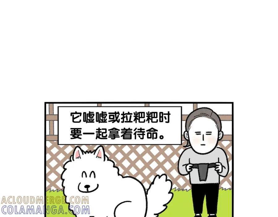 《我的狗子叫棉花》第43话 狗狗的例假 第58页