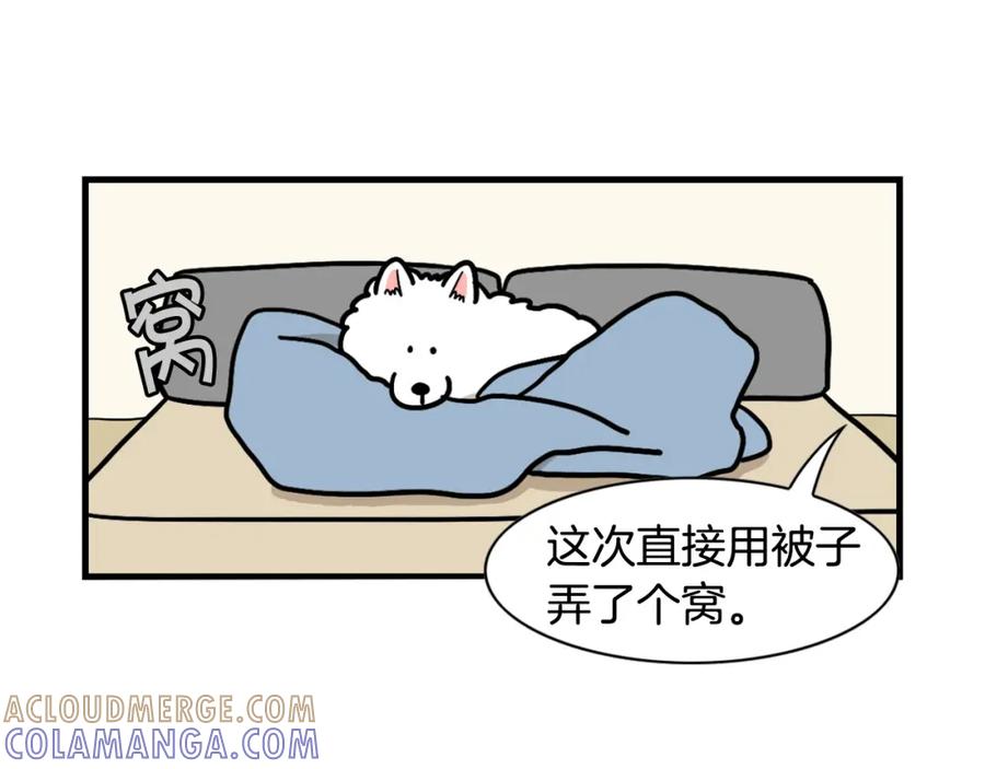 《我的狗子叫棉花》第44话 母爱 第76页