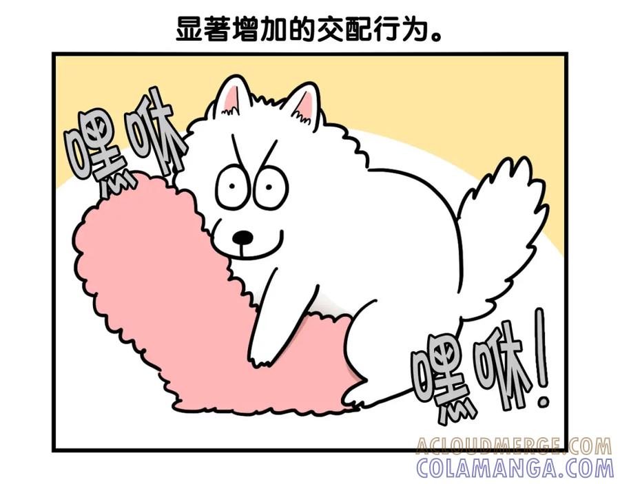 《我的狗子叫棉花》第44话 母爱 第28页