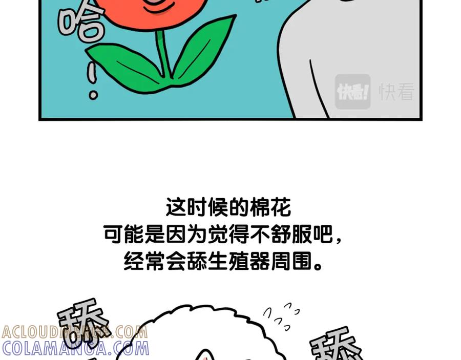 《我的狗子叫棉花》第44话 母爱 第40页