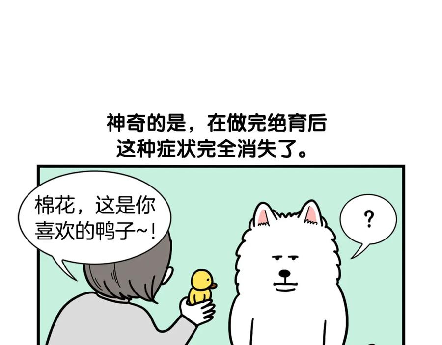 《我的狗子叫棉花》第44话 母爱 第80页