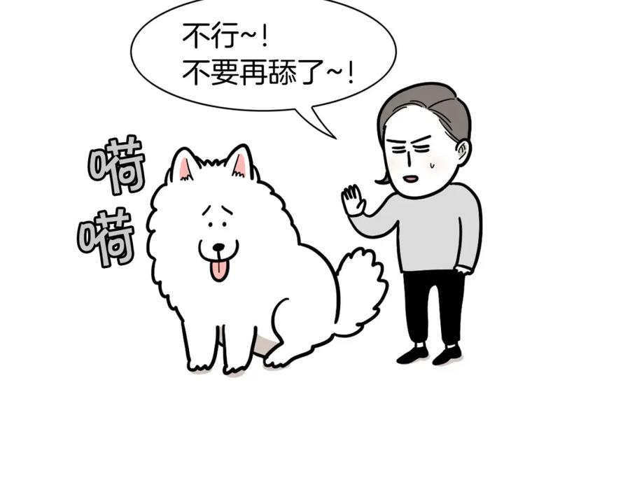 《我的狗子叫棉花》第44话 母爱 第45页