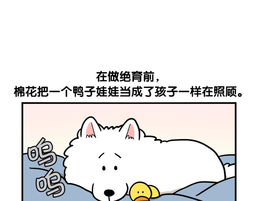 《我的狗子叫棉花》第44话 母爱 第77页
